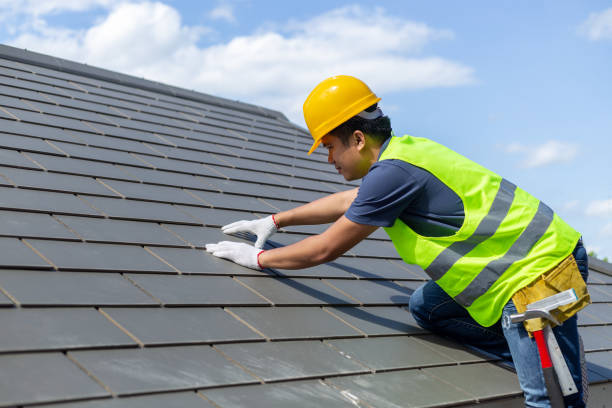 Best Roof Waterproofing Services  in Davison, MI