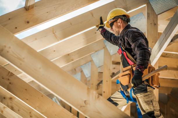 Best Roof Leak Repair  in Davison, MI