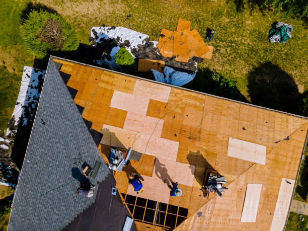 Best Emergency Roof Repair  in Davison, MI