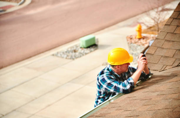 Best Local Roofing Companies  in Davison, MI