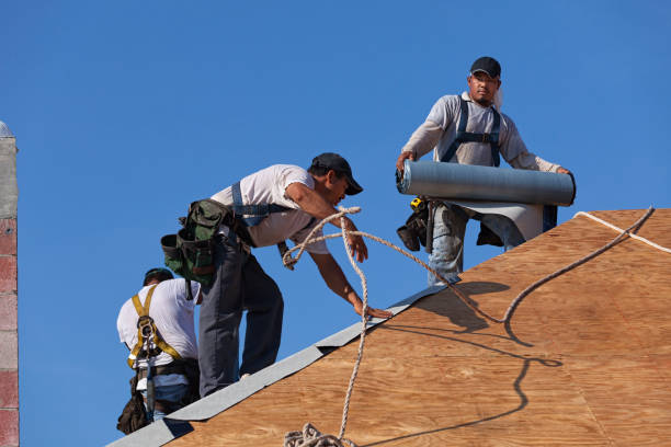 Best New Roof Installation  in Davison, MI