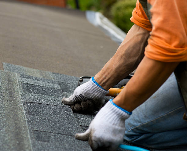 Best Commercial Roofing Services  in Davison, MI