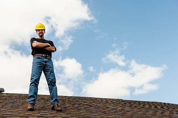 Best Slate Roofing Contractor  in Davison, MI